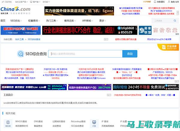 SEO综合查询指南：优化你的网站排名